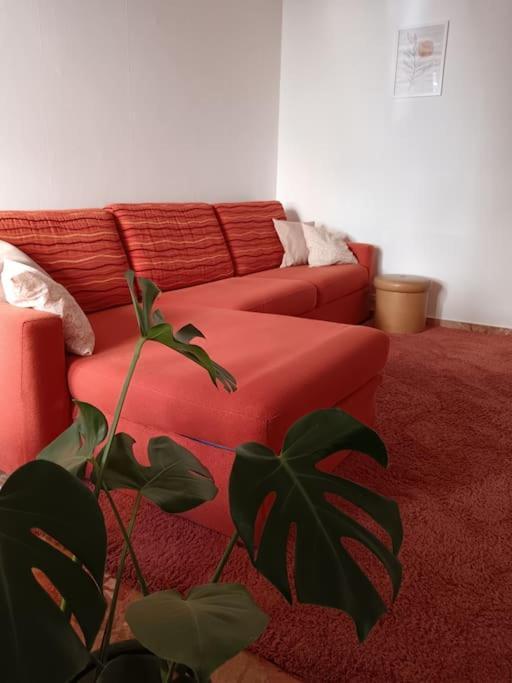 Forti Genova-Free Parking Castellaccio Apartment Exterior photo
